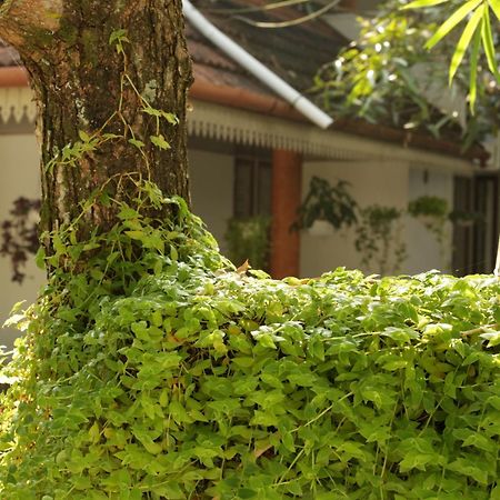 Mi Casa Tu Casa Homestay Kochi エクステリア 写真